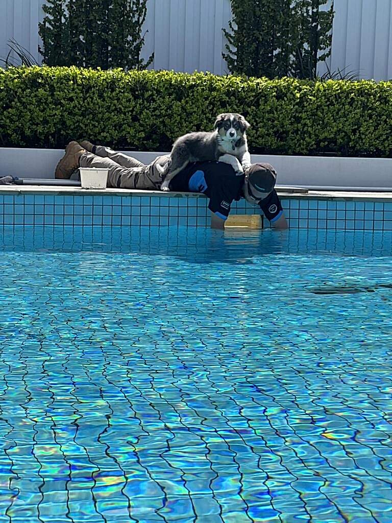 Pool repairs adelaide