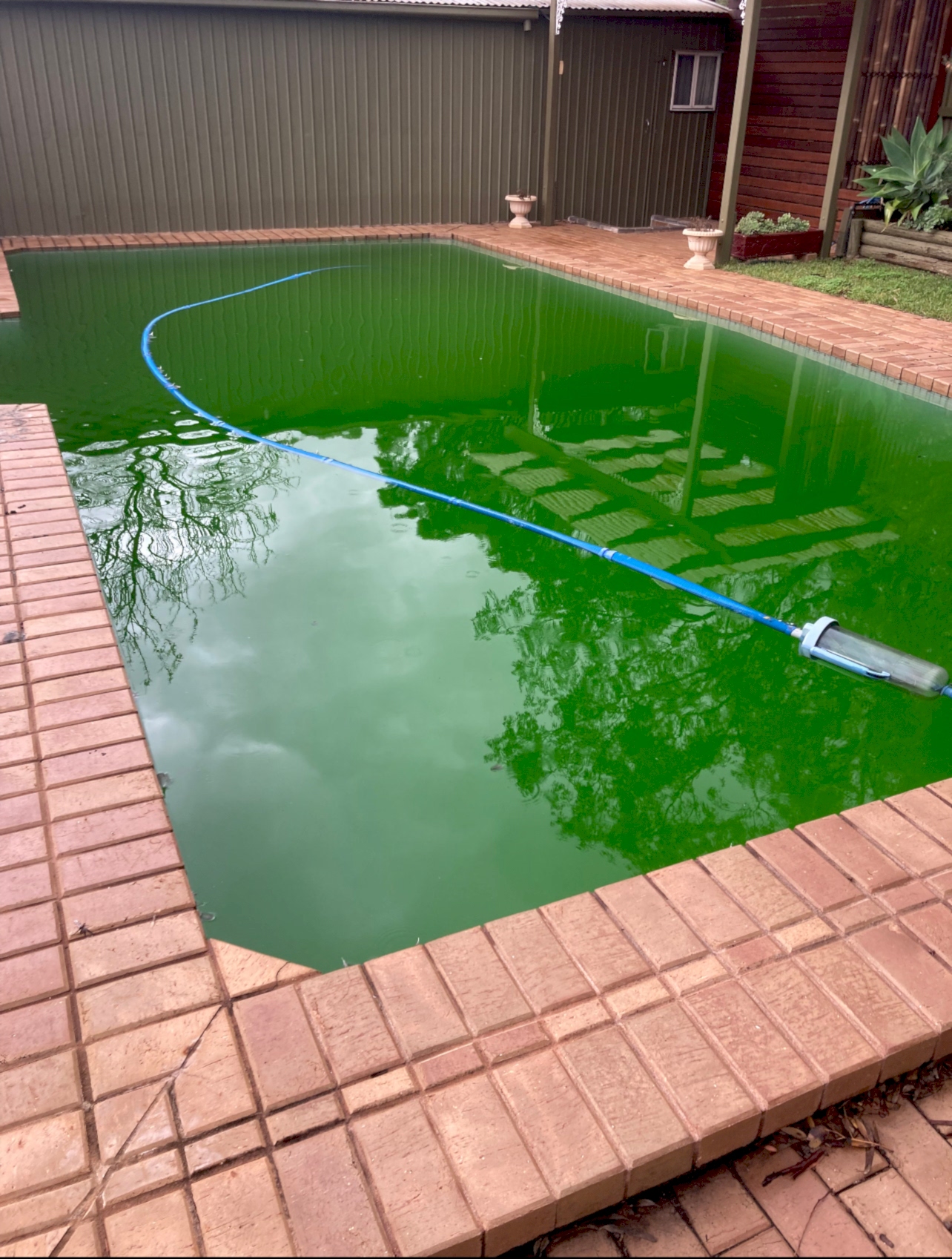 image (17) swimming pool contractors, pool servicing adelaide